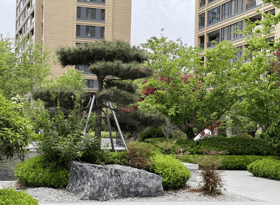 青州这个楼盘交付后"不计成本"多次提升品质_生活_绿城_景观