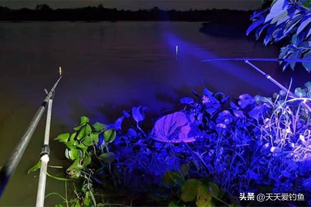 晚春夜钓水库,钓位选择3个方向,跟白天钓鱼有大区别