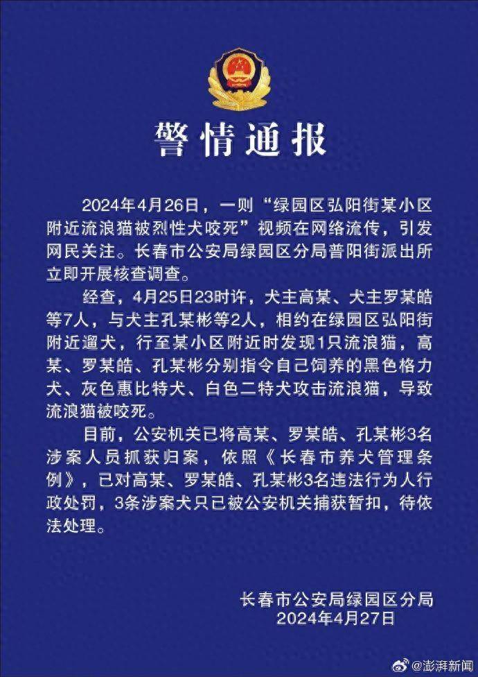驱使三烈犬咬死流浪猫，长春3人被抓_孔某_绿园区_罗某皓