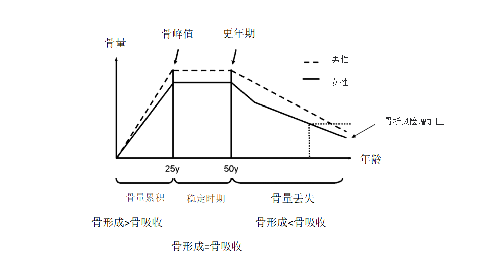 真相来了!_影响_骨骼_研究