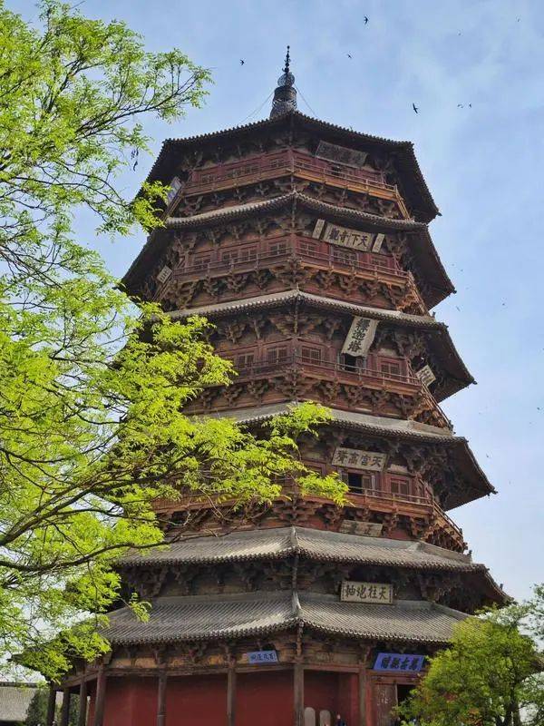 在AI世界“解构”应县木塔,赋能山西文化遗产数字化保护_工作_建筑_文物
