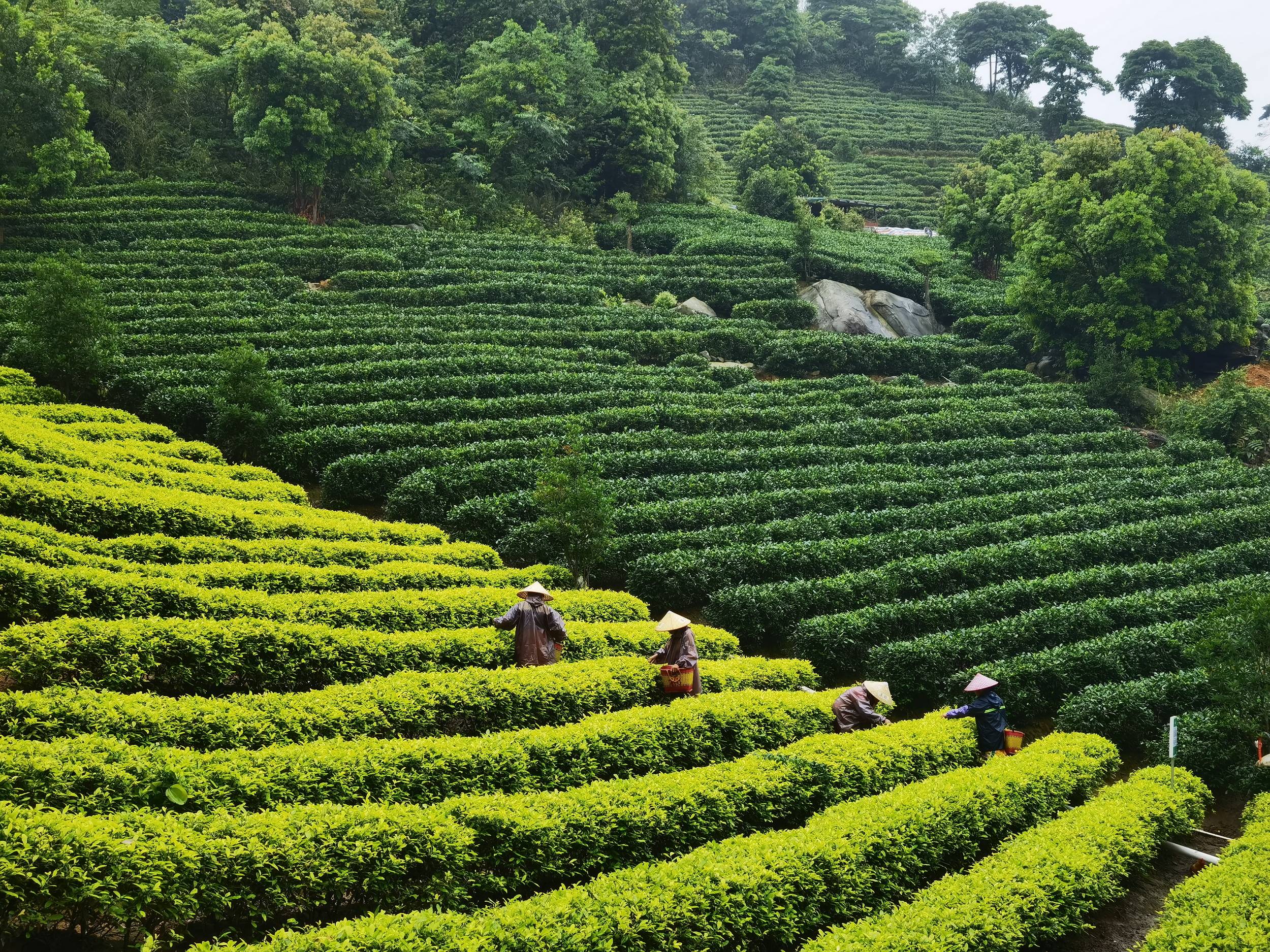 大美岭南·读游清远① | 苏轼带你游清城:峡山映月 一眼千年