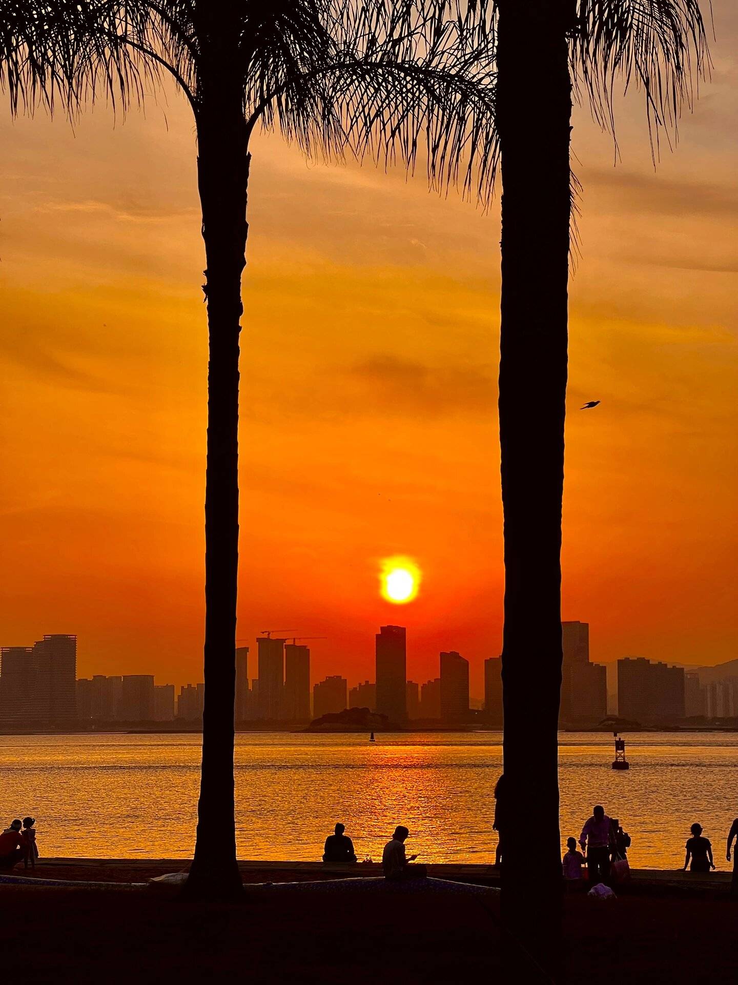 厦门一日游广东旅游推荐 ,花三分钟了解_旅行_行程_