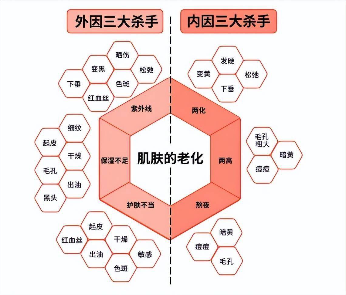 皮肤衰老过程示意图图片