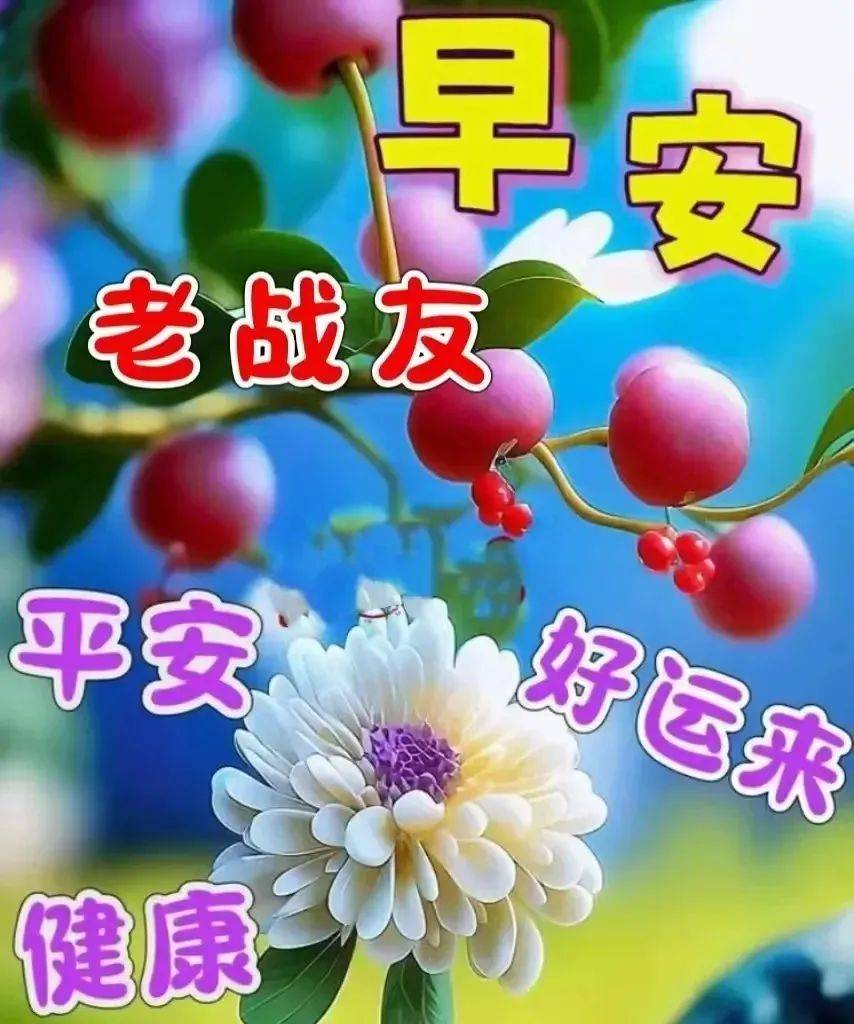 2024年4月29日周一早安,今天刚出最新早上好图片,早上