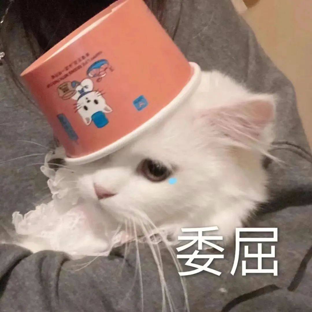 我不吃你这一套