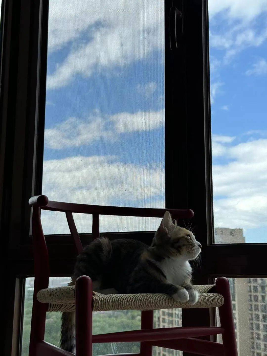 「芥周的饭」week.17