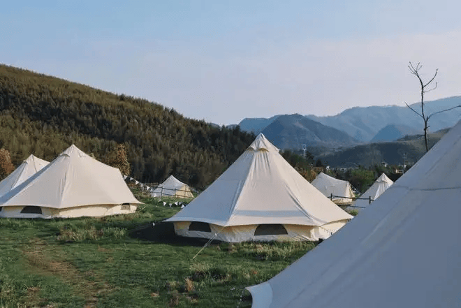 南湾湖孔雀岛露营基地,"村委会 投资商"合作,半年时间