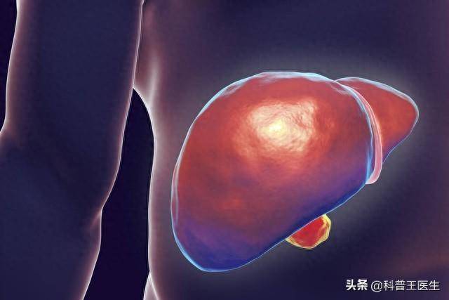 胆囊炎的预防策略:从生活方式做起_体检_运动_疾病