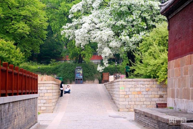 济南:文化"两创"赋能 "摩登"古刹"破圈"