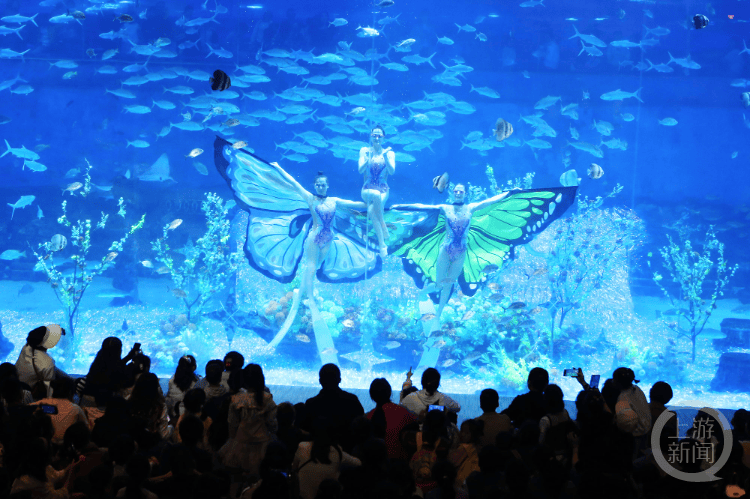 重庆巴南：海洋公园乐享“五一”假期