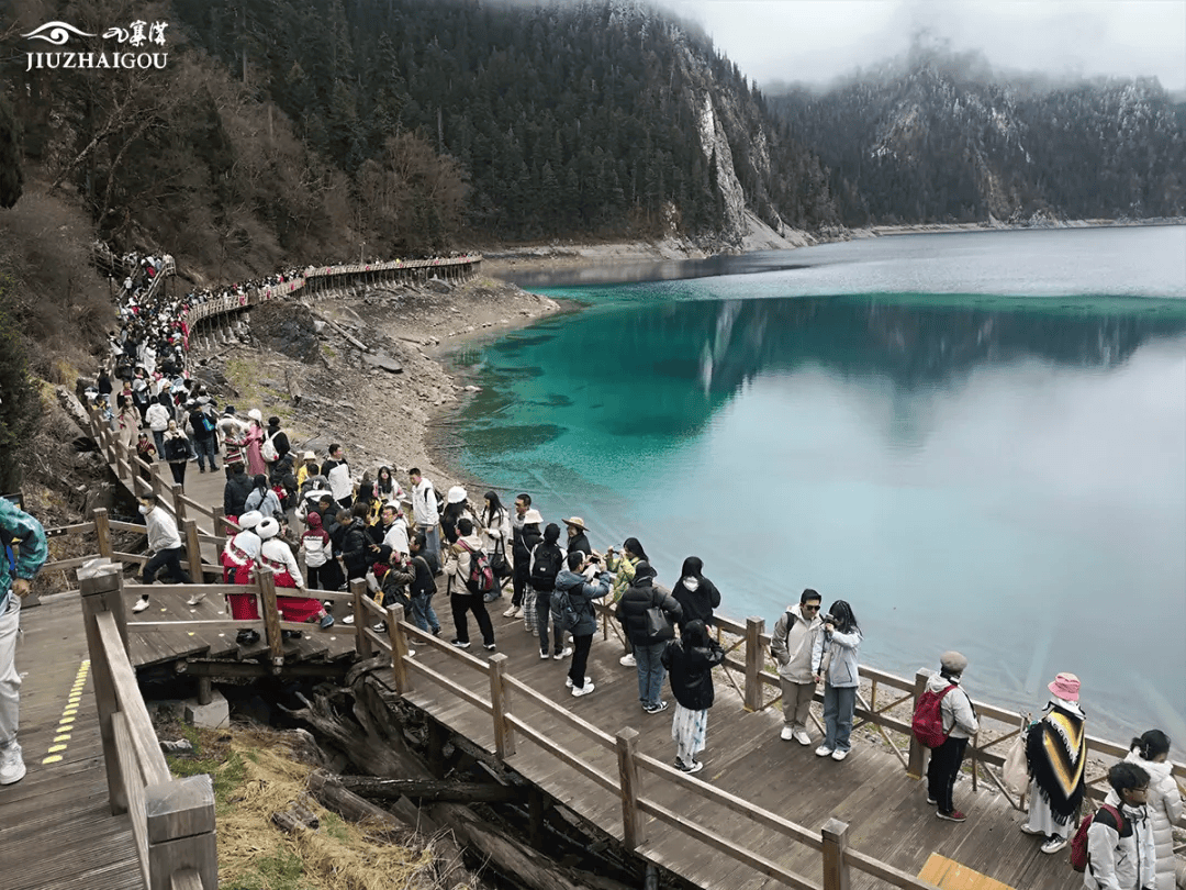 五一特辑 | 九寨沟景区今日接待游客4.1万人次,创"五一"假期历史新高