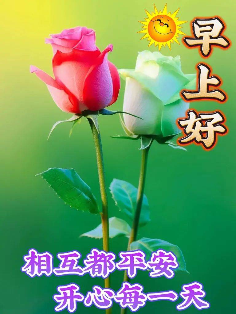 2024年5月2日最新早上好祝福语图片大全,唯美早安温馨问候集锦