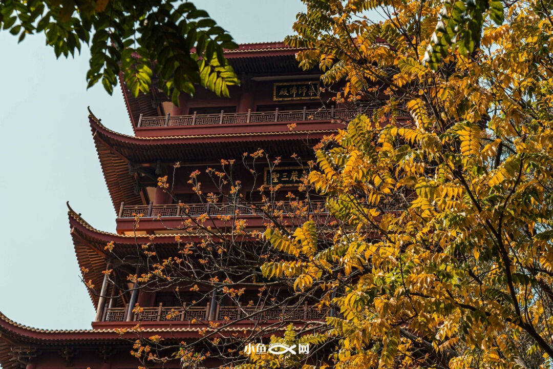 岛外香火最旺寺庙!比南普陀更久远?耗资千万只为建山门?