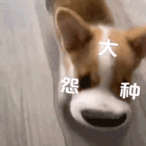300_300gif 动态图 动图
