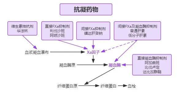 表 1 抗凝药物的分类,代表药物及作用靶点抗凝药物的种类,作用机制及