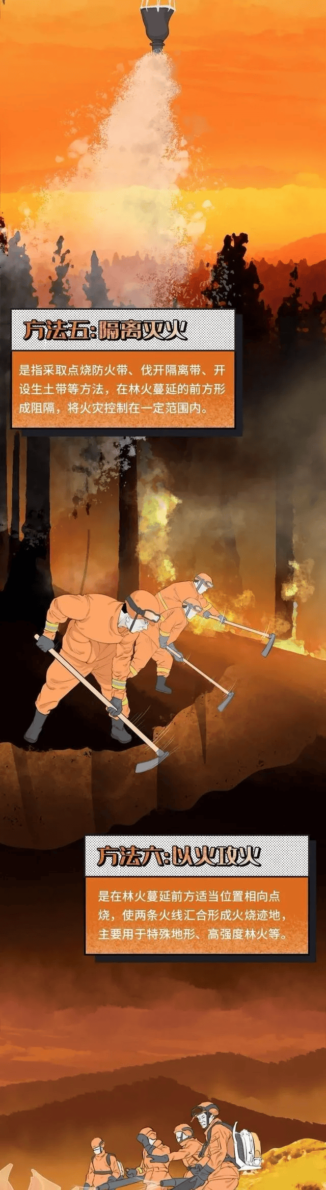 一图读懂 i 森林火灾那些事儿