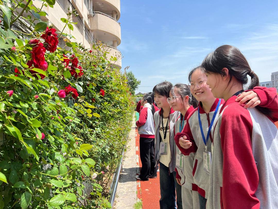 丹阳珥陵初级中学:小成珥中"全员导师",跬步积善"点灯润心"