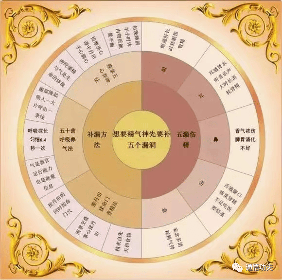 守住精气神|才是养生的根本之法_气血_丹田_人体