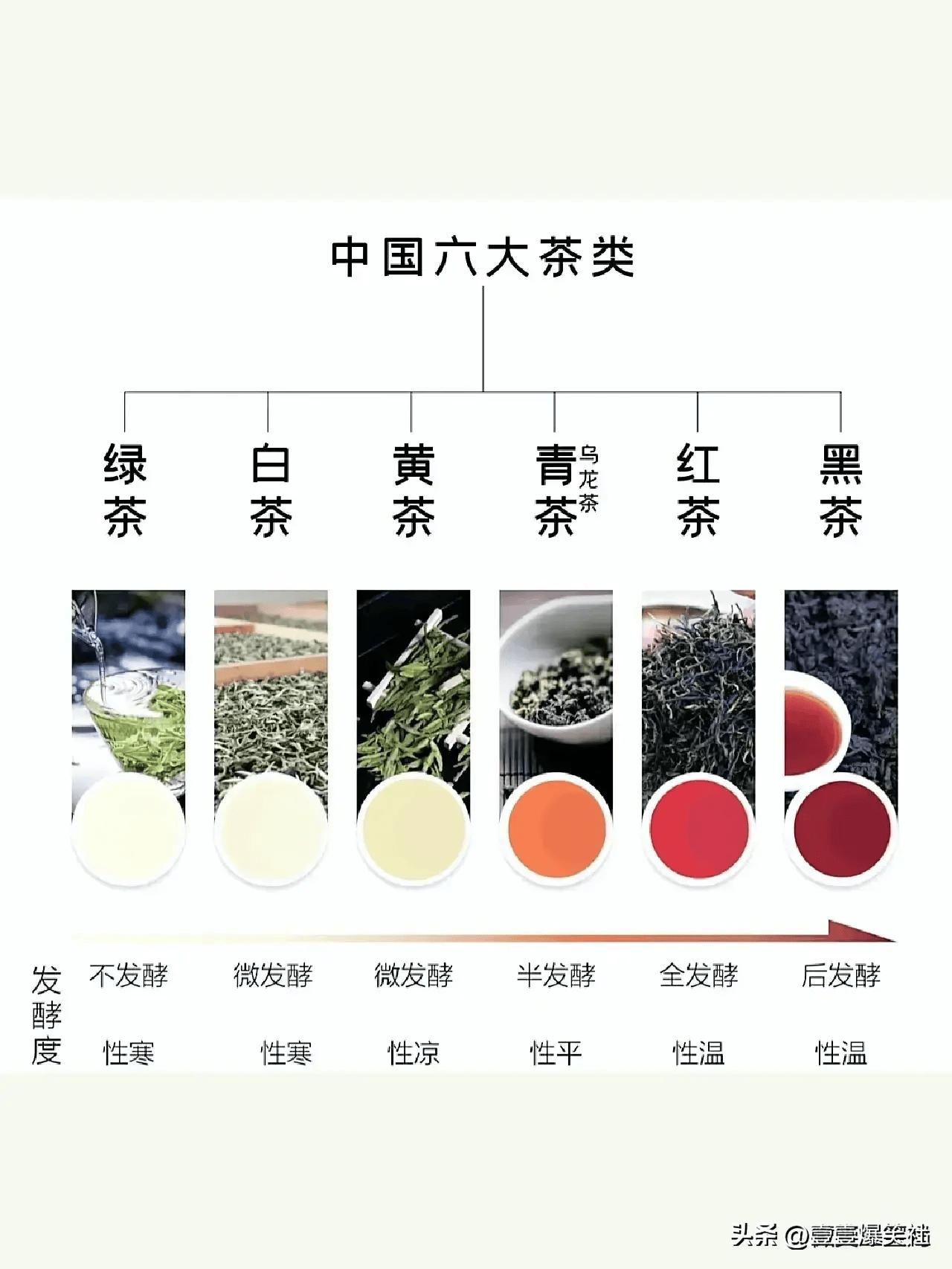 泡茶茶具