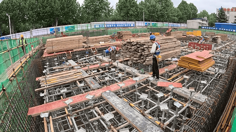 杨凌:以高质量项目建设激发农业新质生产力