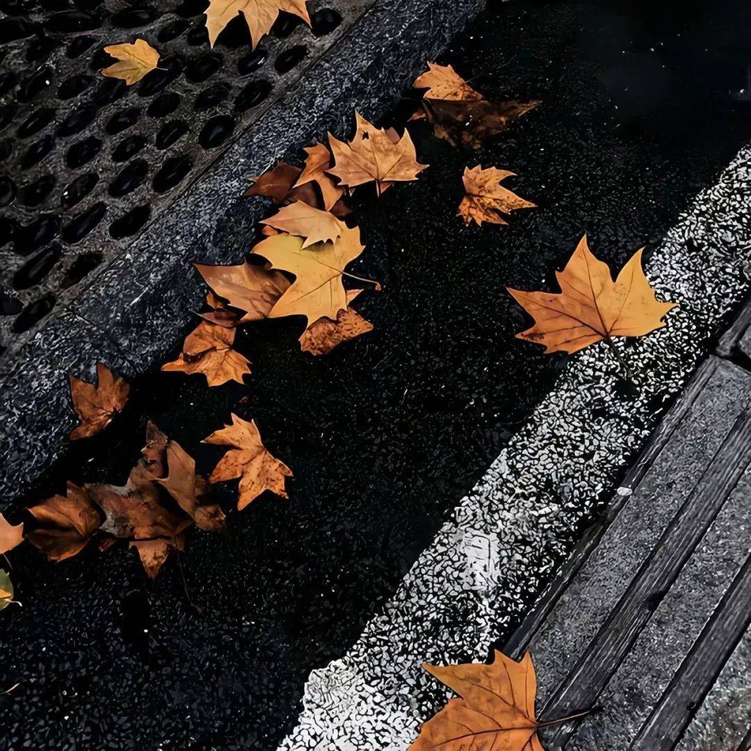 背景图 | 超个性的朋友圈背景图