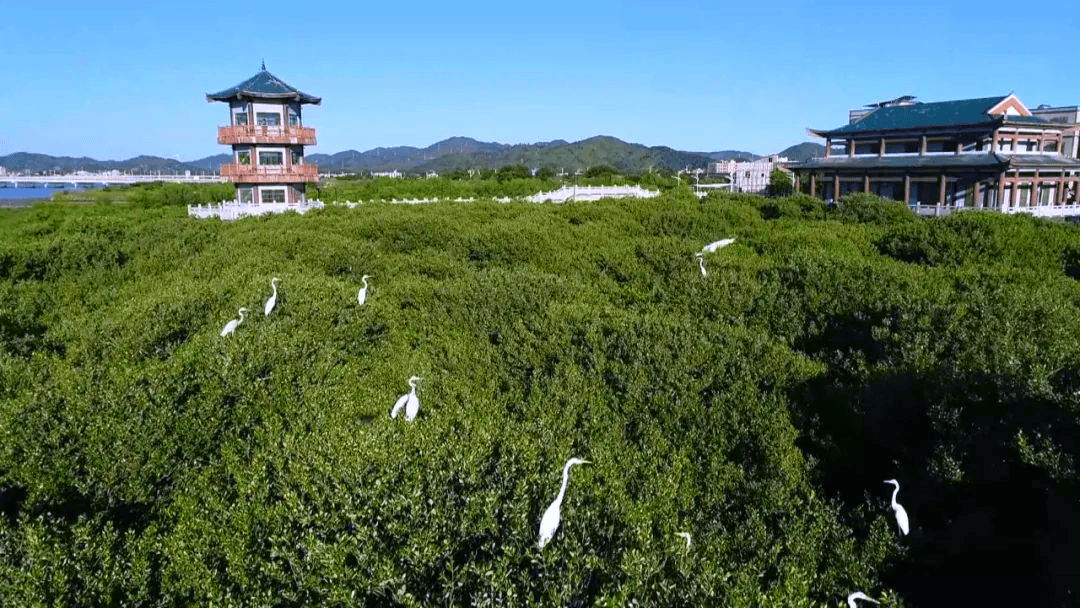 【乡村振兴】惠东黄埠白沙村:村集体经济多点开花 助力乡村振兴"加