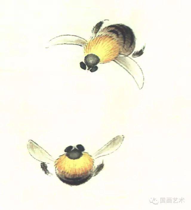 图文教程:工笔昆虫设色步骤之蜜蜂,胡蜂