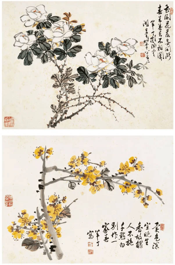 陳半丁  花卉圖 陈半丁花卉册，构图别致