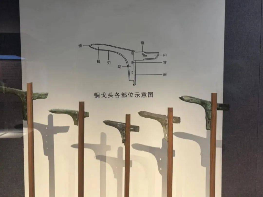 微史论考察2022级艺术史论专业广元市博物馆与昭化古城考察