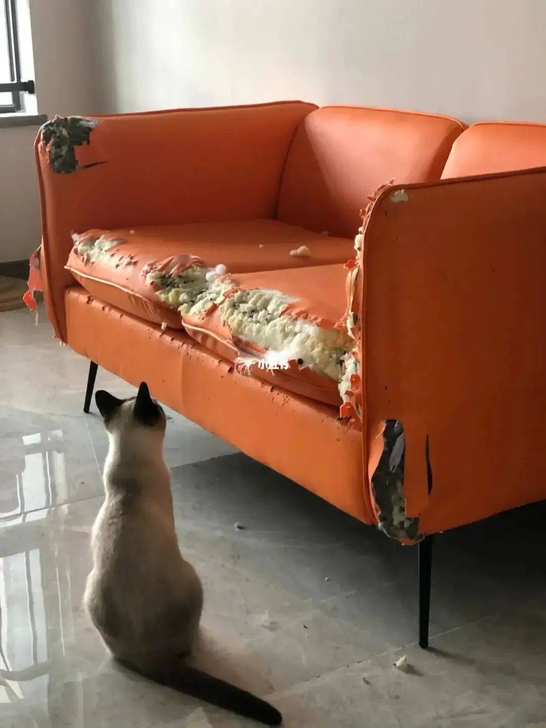 18洗头服务19真·猫王20磁悬肥列车21"她还不肯来吗?