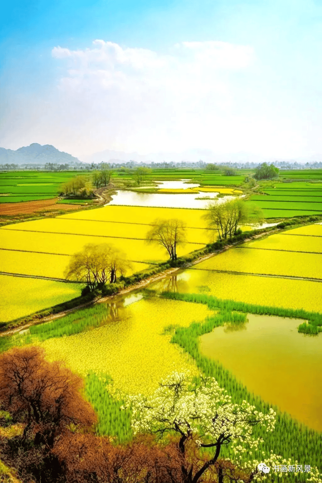 一组田园美景