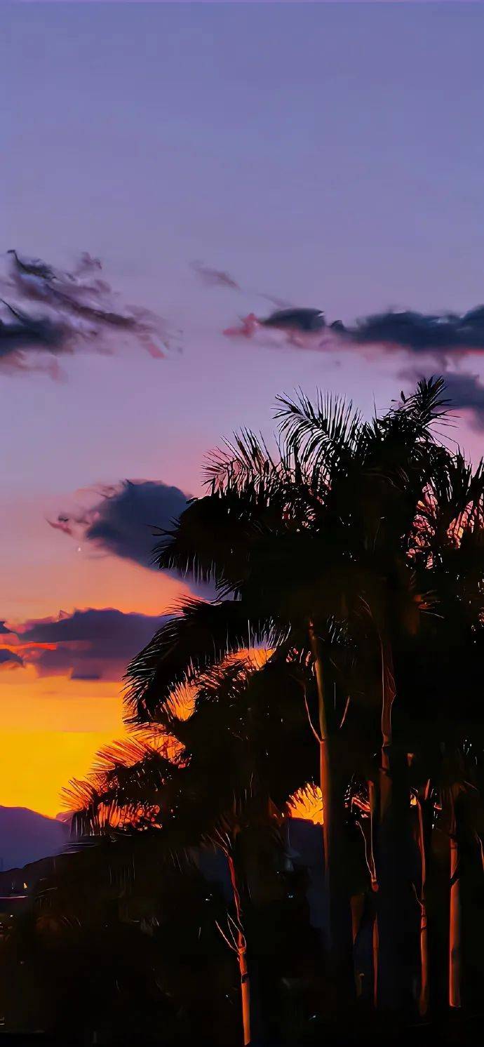 超耐看的全面屏壁纸