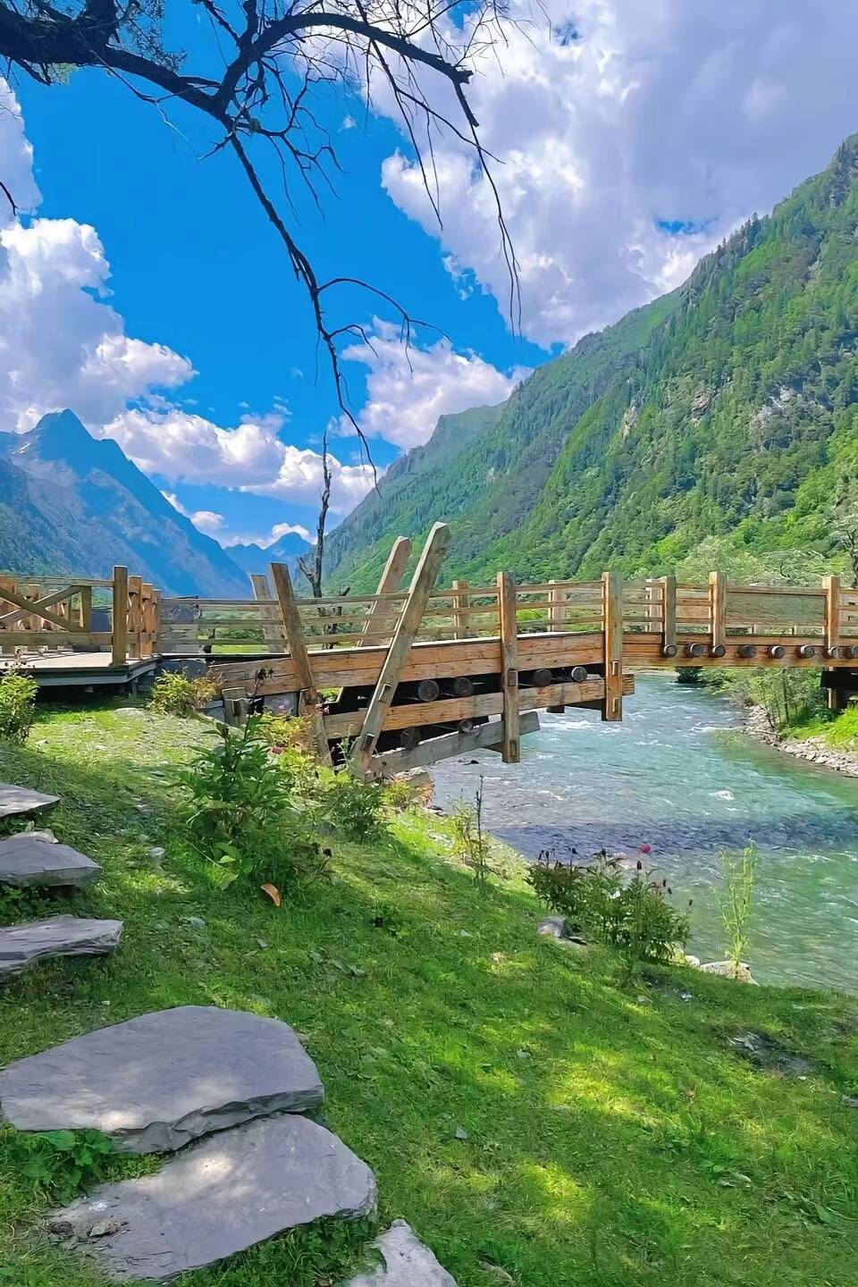 可以选择徒步虎牙大峡谷,体验原始森林的神秘与宁静.