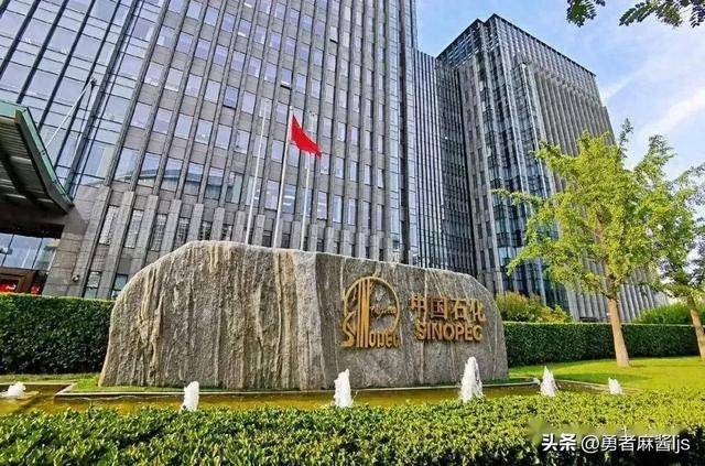 中国石油化工集团组织结构及管理层