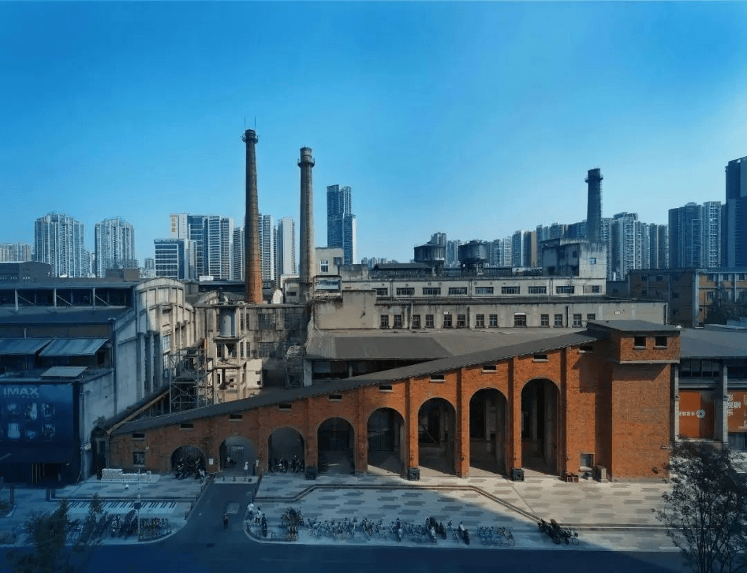 这些「不按套路出牌」的项目会成为主流吗?