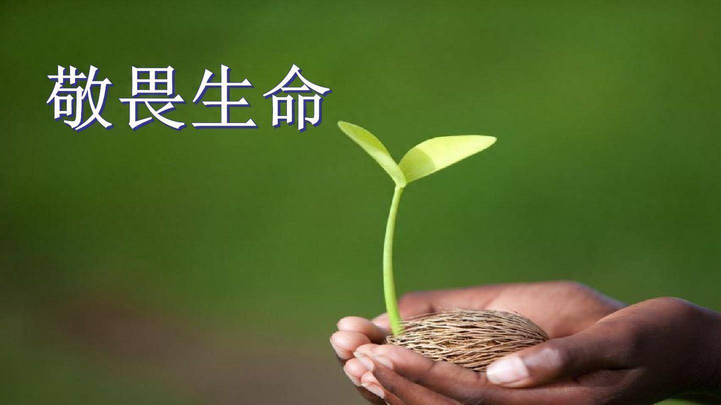 生命面前,当有"跪下"的敬畏