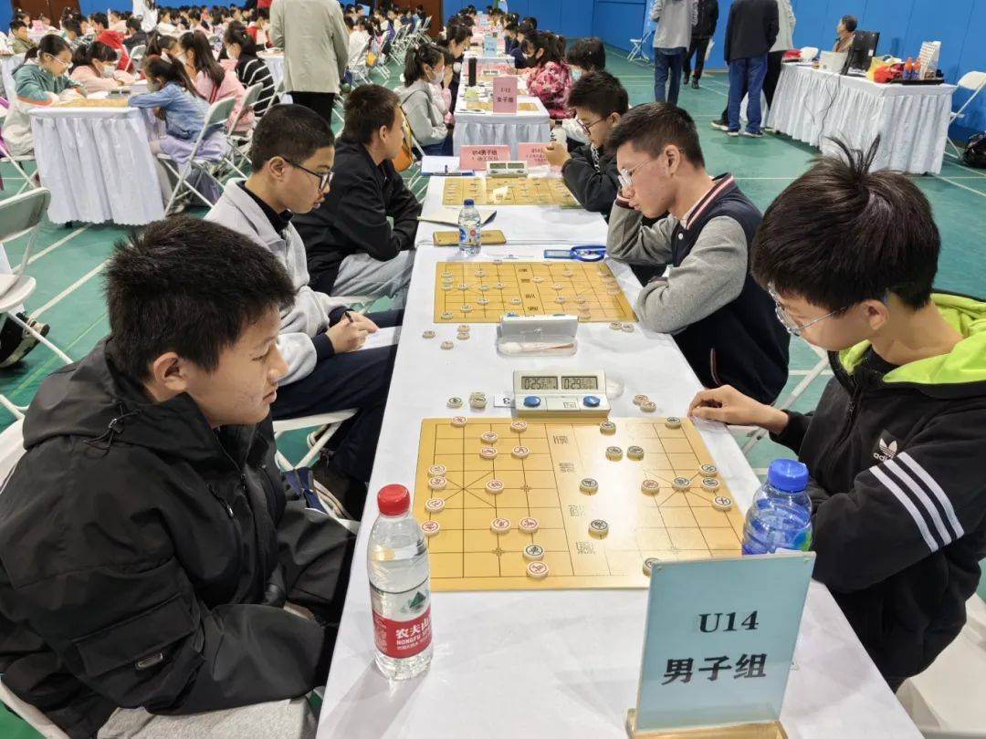 徐汇青少年闪耀象棋赛场,勇夺八金佳绩