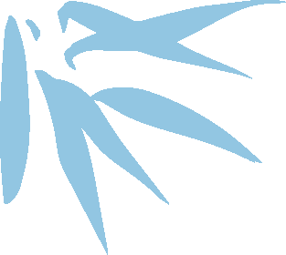 ray activities | 与你共赴一场春风古韵的浪漫