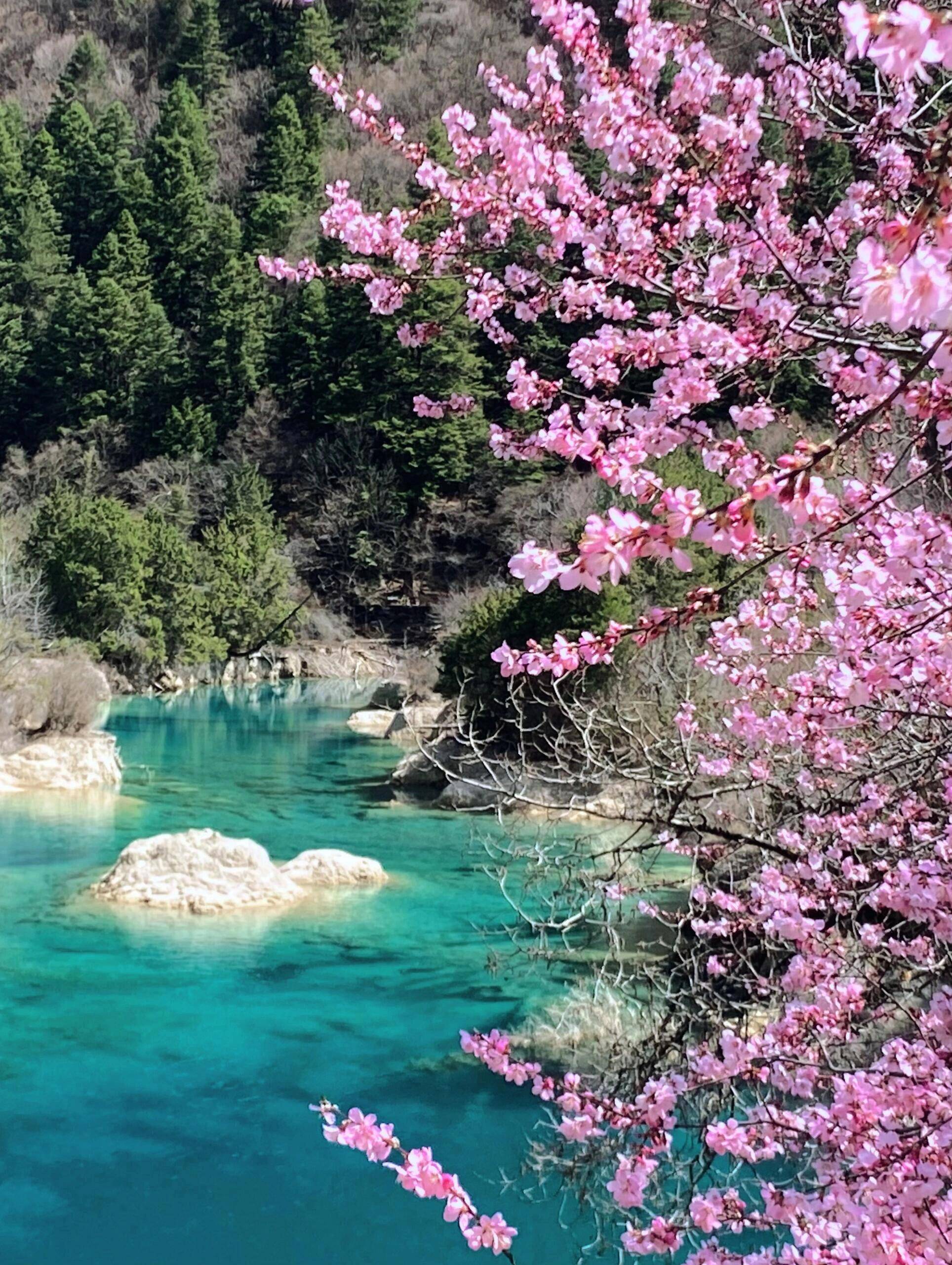 中秋四川省旅游 ,最佳路线 景点 交通 费用,分享一份旅游攻略