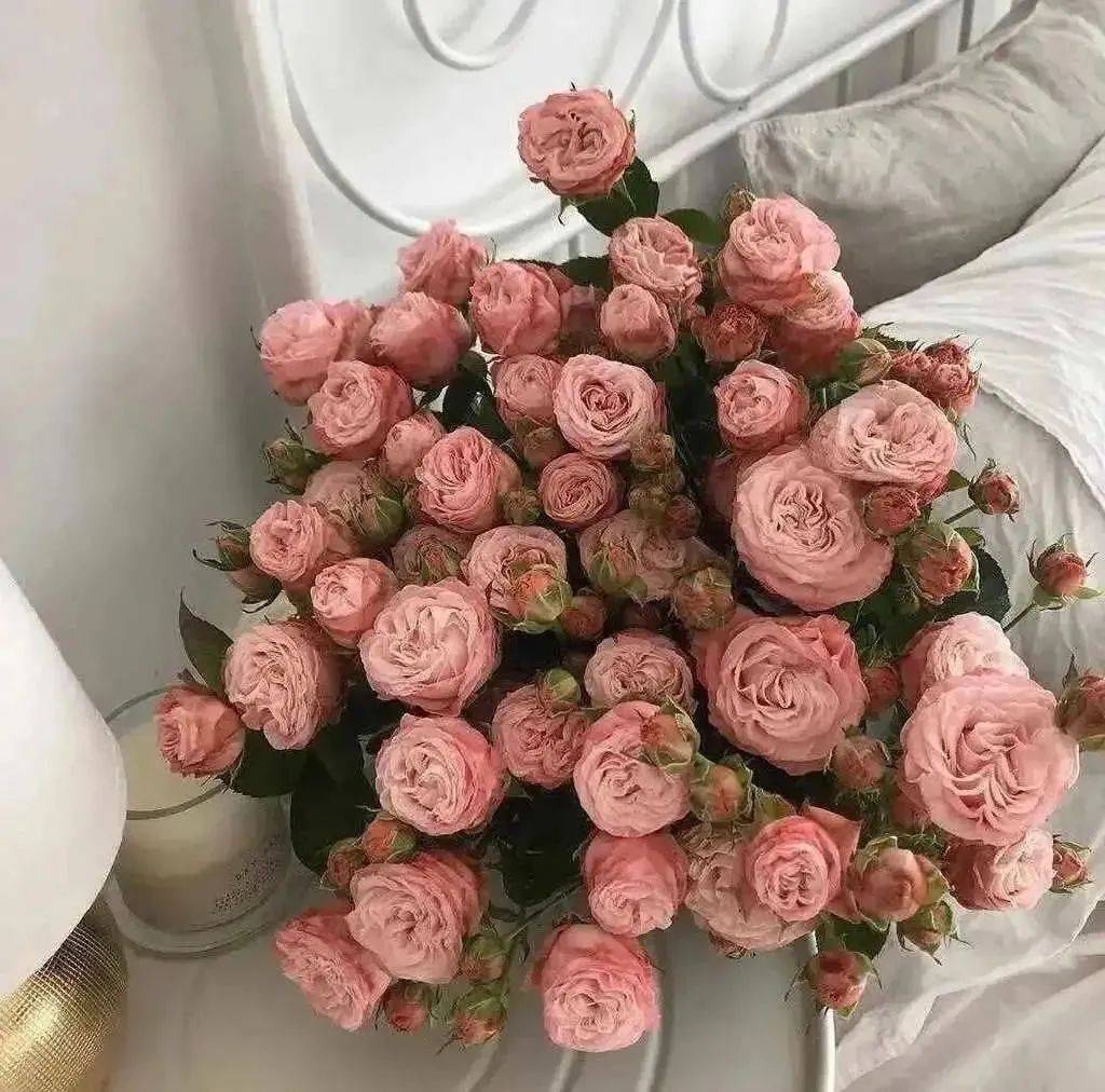 背景图|心心念念的朋友圈背景图