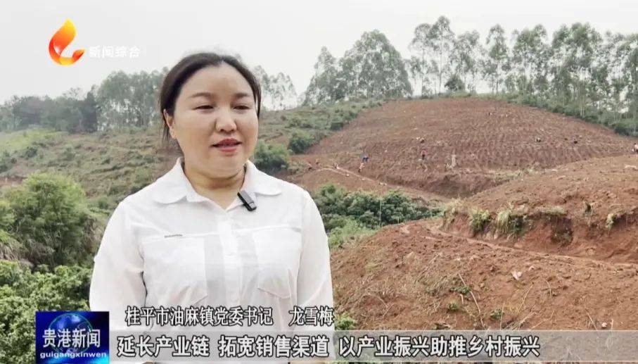 药材飘香 产业兴旺——中草药产业成油麻特色产业发展金"药"匙