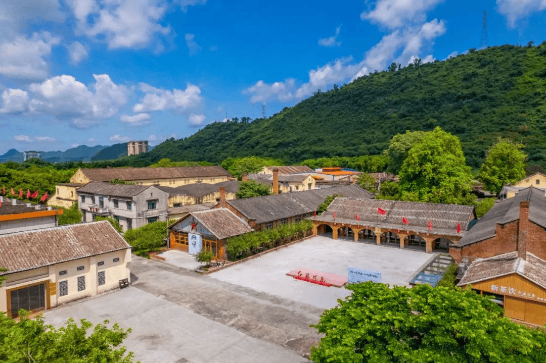 18英德自驾 | 仅此1团】深度体验英德春茶制作,叹山泉温泉,住天鹅湖