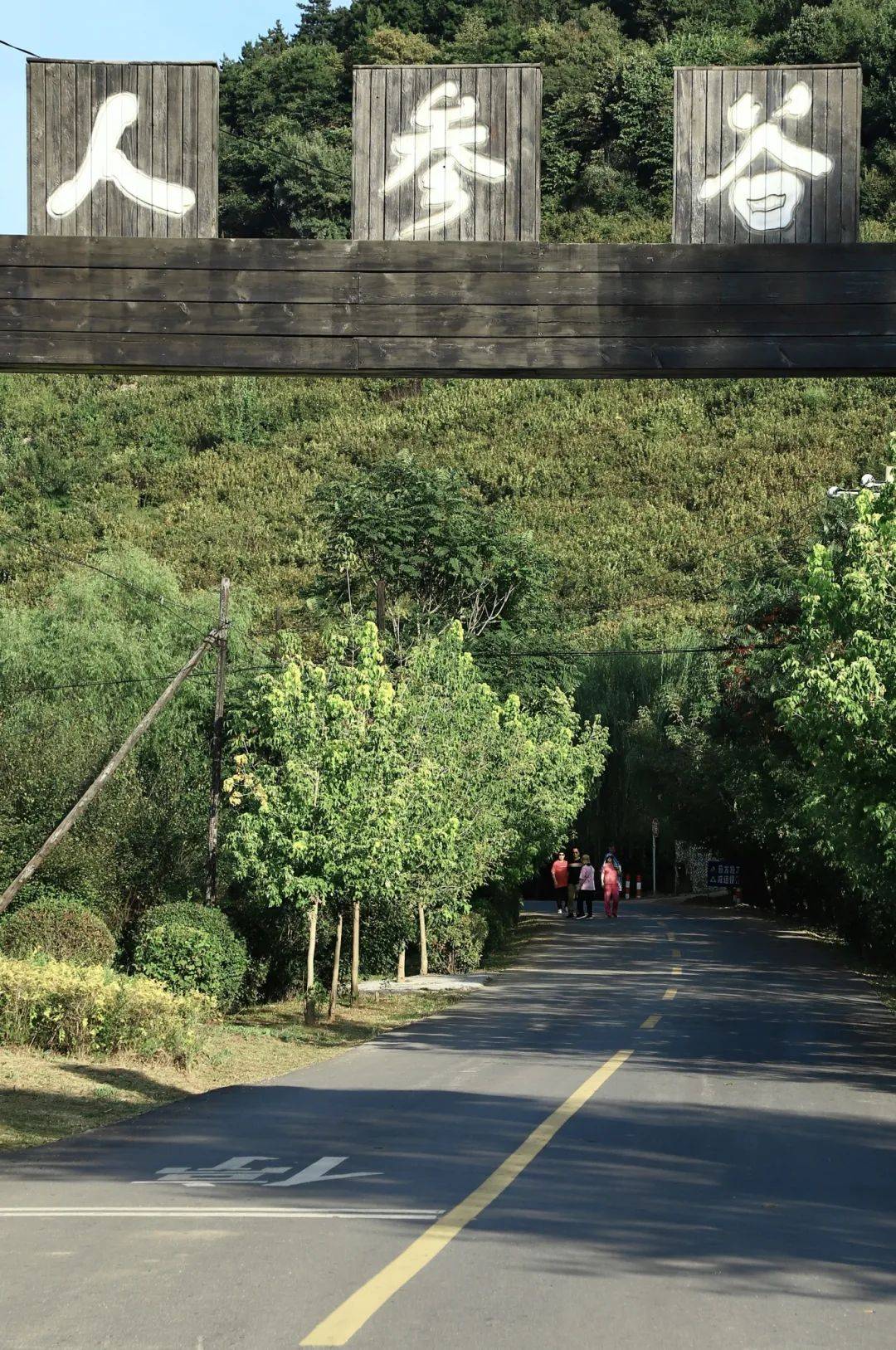 初夏时节,等风也等你!已经开始期待2024辽阳的夏天了