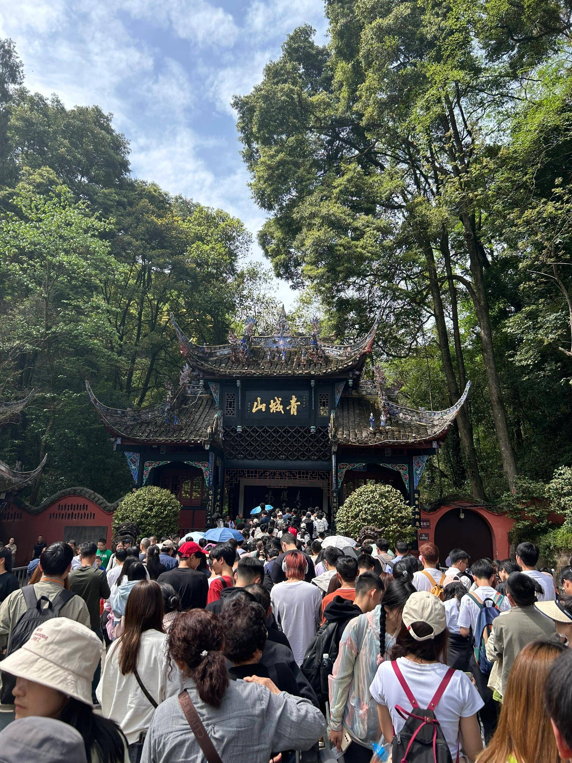 6月份旅游景点四川宜宾 ,去了三次后总结的建议及攻略