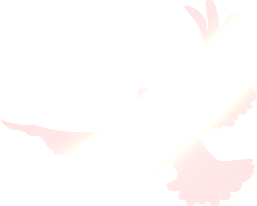 "三旧"改造领头羊黄耀均