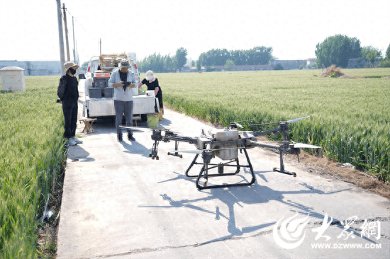 微山县傅村街道开展小麦"一喷三防"工作_作业_无人机_农药