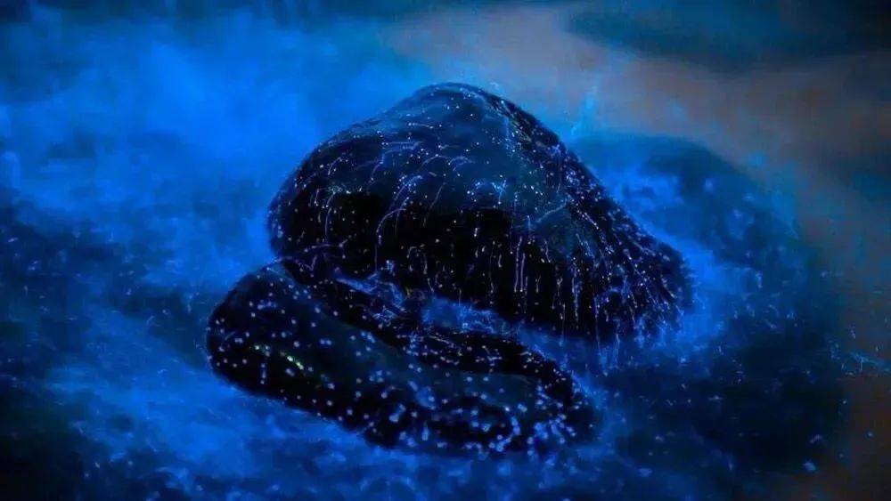 涠洲岛蓝色荧光海滩图片