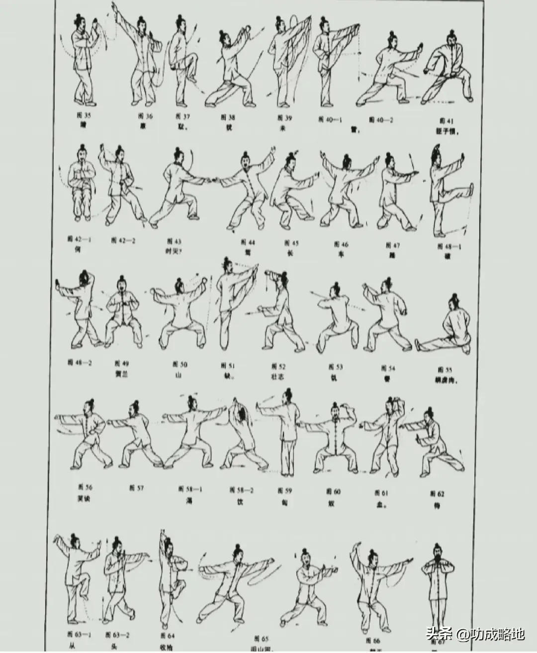 武生动作名称图片