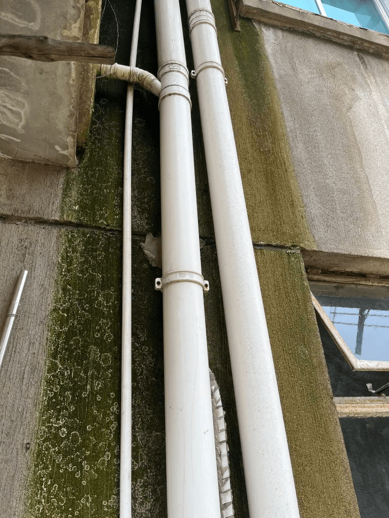 金华一小区水管漏水,墙面发霉长毛,业主:维修费用谁出?